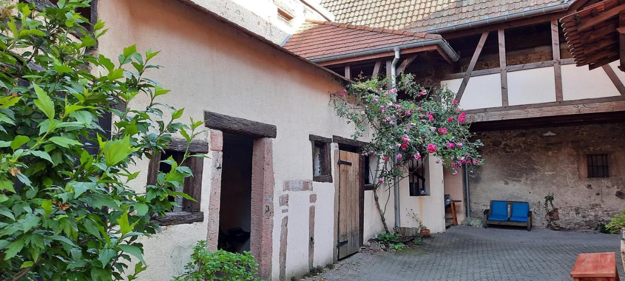 La Charpenterie Appartement Bergheim
